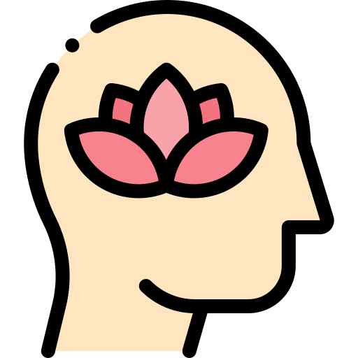 Gym and Fitness Center